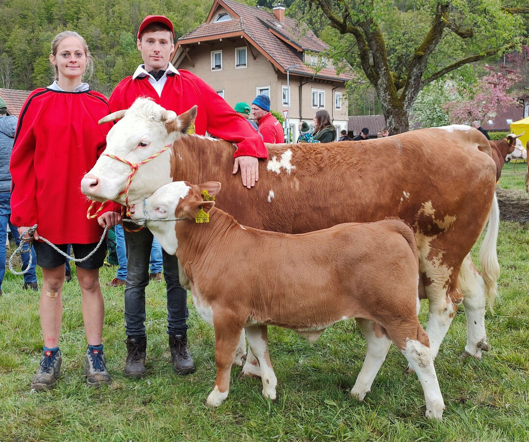 Eindeutiges Siegergespann bei der mnnlichen Fraktion wurde die Rouben-Tochter Laura mit ihrem fnften Kalb.