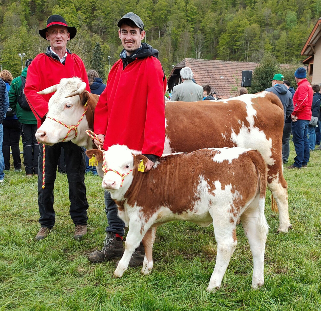Bei den weiblichen Absetzern siegte Ewald Kiefer aus Frhnd-Ittenschwand mit der Mutterkuh Alina und einem Kalb, das mit 96 Tagen be-reits 135 kg auf die Waage stellte, was hohe Zunahmen von 1146 g pro Tag bedeutete.