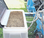 Mit geimpftem Saatgut haben die Sojabohnen einen guten Start.