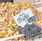 Frische Pfifferlinge und schwarze Périgord-Trüffel auf dem Wochenmarkt am Hauptmarkt in Nürnberg. Ob der Preis noch stimmt, ist fraglich. Die drei Jahre alte Aufnahme lässt aber den Wert von Trüffeln erahnen.