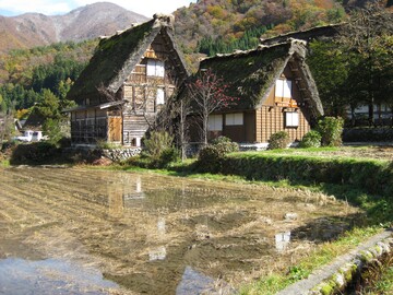 Ein landestypisches Bild ist der Nass-Reisanbau in Bergregionen wie hier auf der grten Insel Honshu.