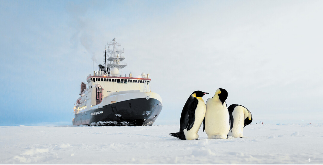Das Forschungsschiff Polarstern während einer Eisstation im Weddellmeer. Ende 1982 in Dienst gestellt, ist es das Flaggschiff des Alfred-Wegener-Institutes. Es legte bisher mehr als 1,5 Millionen Seemeilen (Stand 2014) im Dienste der Wissenschaft zurück.