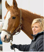 Das Angebot von Zusatzleistungen wie Koppelservice erhöht die Rentabilität im Pferdebetrieb.