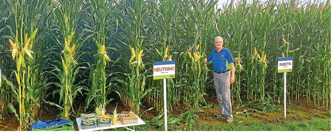 Berater Martin Munz ist auf Feldtagen, um Landwirten Neuheiten aus der Maiszchtung zu prsentieren. Auf Feldtagen sehen Besucher die Sorten im direkten Vergleich.