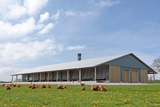 Der Um- oder Neubau von St�llen f�r mehr Tierwohl kollidiert oft mit emissionsrechtlichen Auflagen.