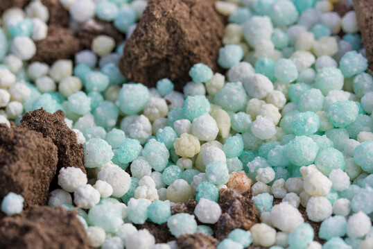 Die D�ngerherkunft ist ein erster und wichtiger Schritt, den CO
<sub>2</sub>
-Fu�abdruck der Agrarprodukte zu senken. 