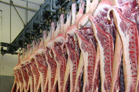 Die Schweineschlachtungen nehmen wieder zu. Ist das die Trendwende? Immerhin sollen die Schlachtungen nun stabil bleiben.