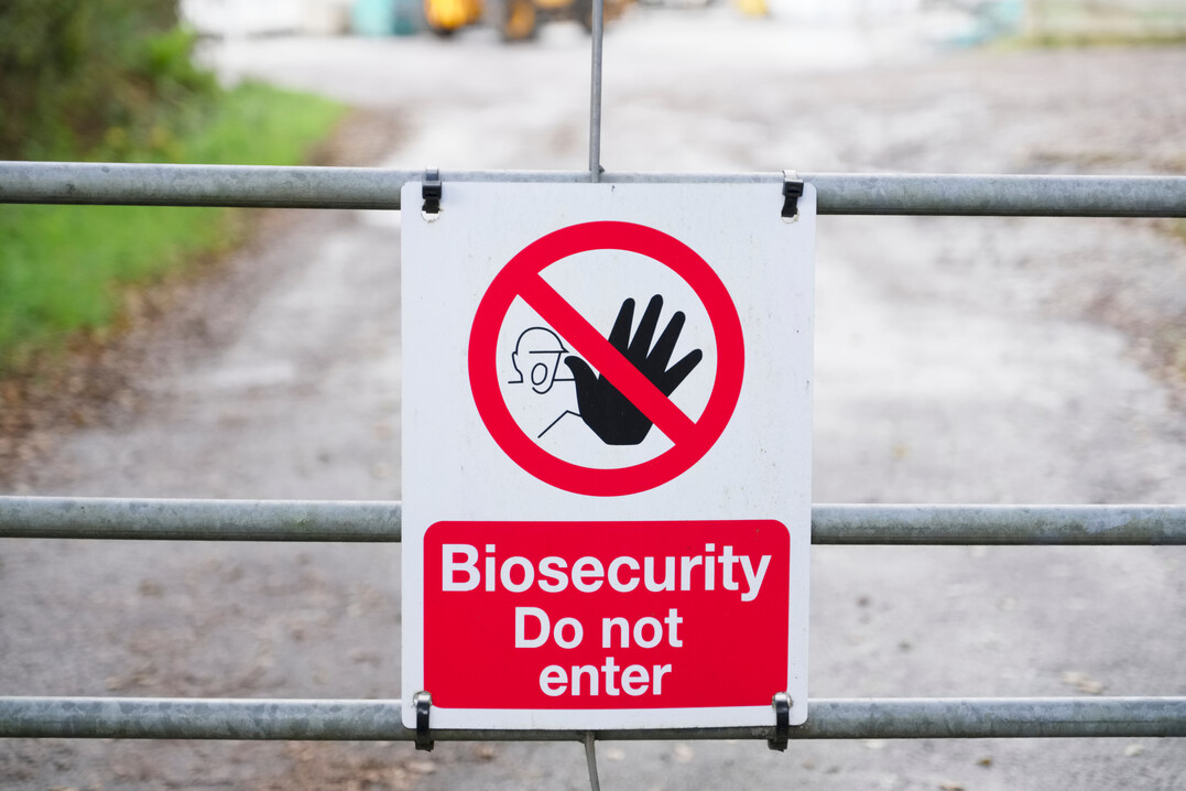Biosicherheitsschild am Eingangstor eines landwirtschaftlichen Betriebs.