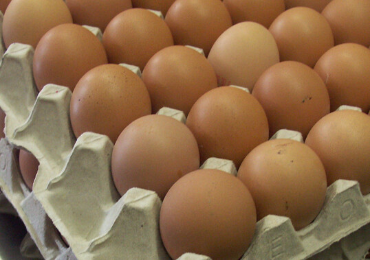 Eier
