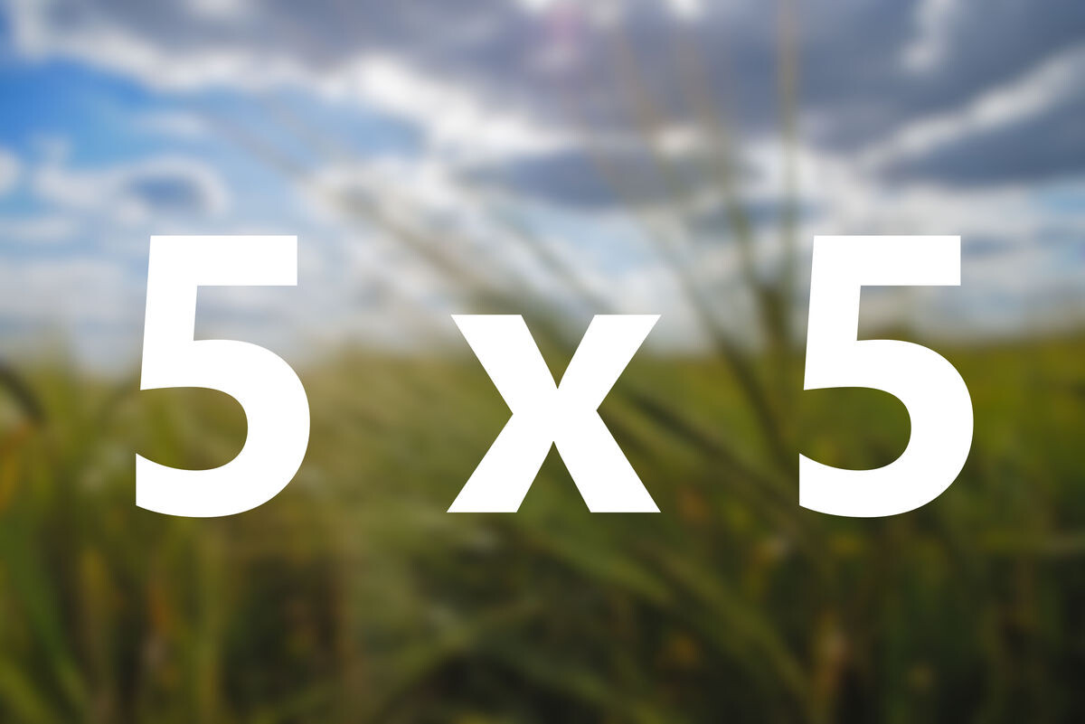 Die 5 x 5 Regel gegen Viren in Gerste