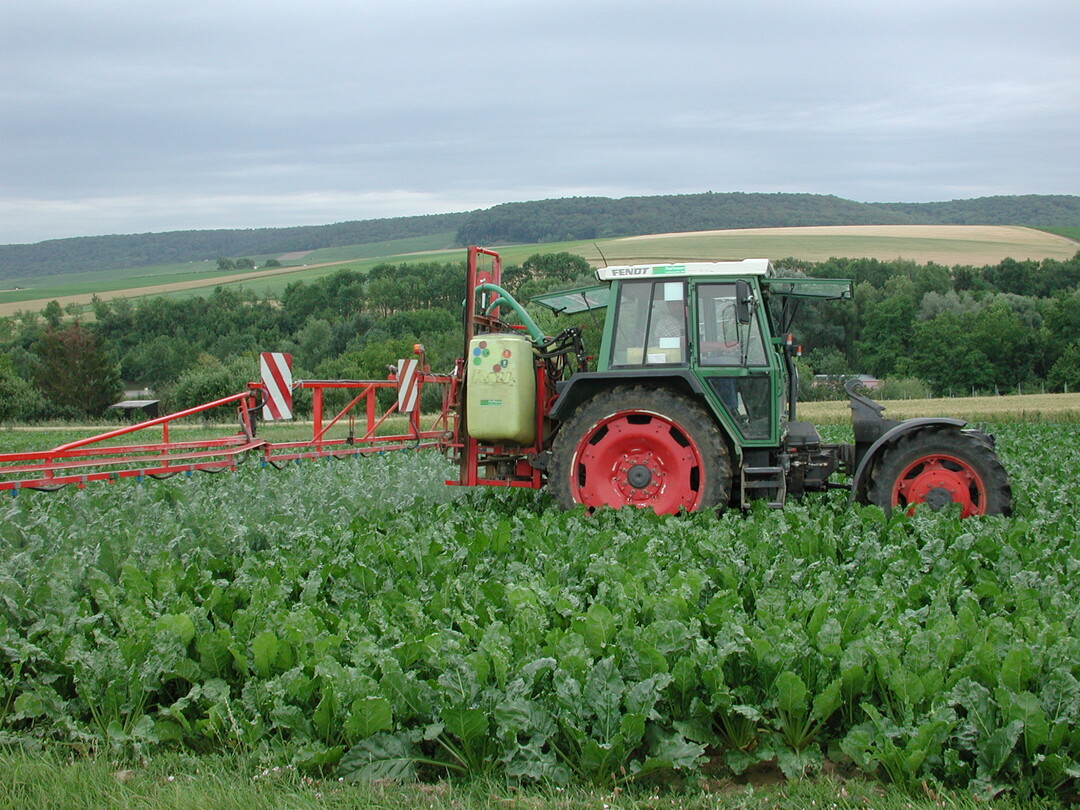 Der richtige Zeitpunkt ist bei der Fungizidbehandlung entscheidend