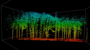 Mithilfe von Laser-Scans untersuchen die TUM-Wissenschaftler, wie sich Strukturen in Baumkronen verndern.