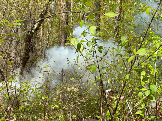 Die Feuerwehren des Landkreises Karlsruhe ben im Wald bei Kronau das Lschen eines Waldbrandes.