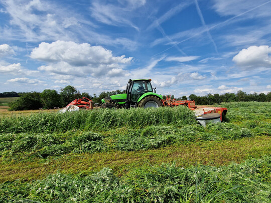 Zur Mahd der Gr�nfutterfl�chen auf einer Demofl�che von HumusKlimaNetz Ende Juni waren die Mischungen fast 1,20 m hoch.