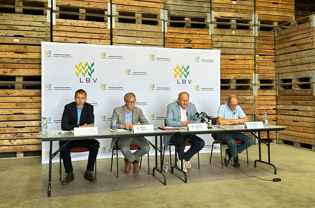 Erntepressekonferenz des Landesbauernverbandes 2024: (v. l.) Dr. Dominik Modrzejewski, Fachreferent im Landesbauernverband; LBV-Hauptgeschftsfhrer Marco Eberle, LBV-Prsident Joachim Rukwied und Landwirt Andreas Beck.