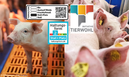 Die Revision fr die neue ITW-Programmphase ab 2025 bringt Vernderungen bei den Kriterien und wird sich auf den Kostenausgleich auswirken. 