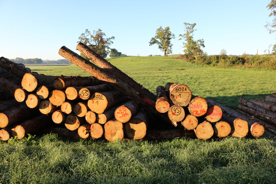 Holzvermarktung: Nach der EU-Entwaldungs-Verordnung (EUDR) drfen bestimmte Rohstoffe und Erzeugnisse nur dann in den europischen Markt ein- oder ausgefhrt werden, wenn sie nicht mit Entwaldung und Waldschdigung in Verbindung stehen. Lieferanten mssen dazu knftig eine Sorgfaltserklrung vorlegen.