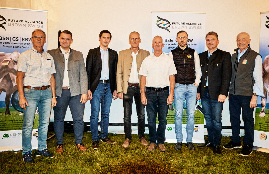 Neu aufgestellt: Die Rinderunion Baden-Wrttemberg e.V., die Besamungsstation Greifenberg und die Genostar Rinderbesamung gehen zchterisch gemeinsam in die Zukunft. Die neue Allianz strebt danach, die Brown Swiss-Zucht durch innovative Anstze und enge Zusammenarbeit auf ein neues Niveau zu heben, wie bei der Bullenprsentation am 21. August 2024 in Greifenberg von Vertretern der jeweiligen Organisationen bekannt gegeben wurde.