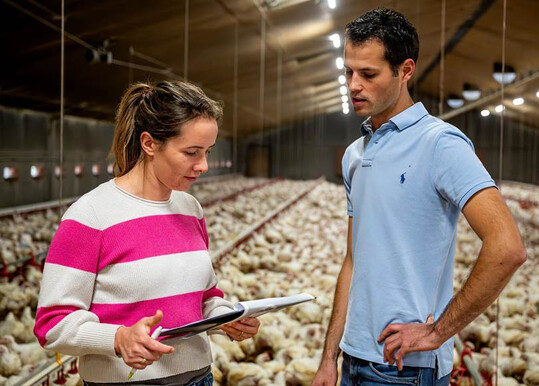 Das Interreg-Projekt RAMBO zielt darauf ab, Ammoniak- und Methanemissionen in der Geflgelhaltung durch Manahmen wie Futteranpassungen und Stalloptimierungen zu reduzieren. 