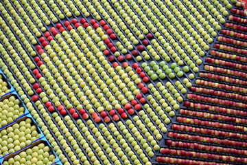 Landwirtschaftliches Messe-Doppel vereinigt sich zur Fruchtwelt Bodensee.