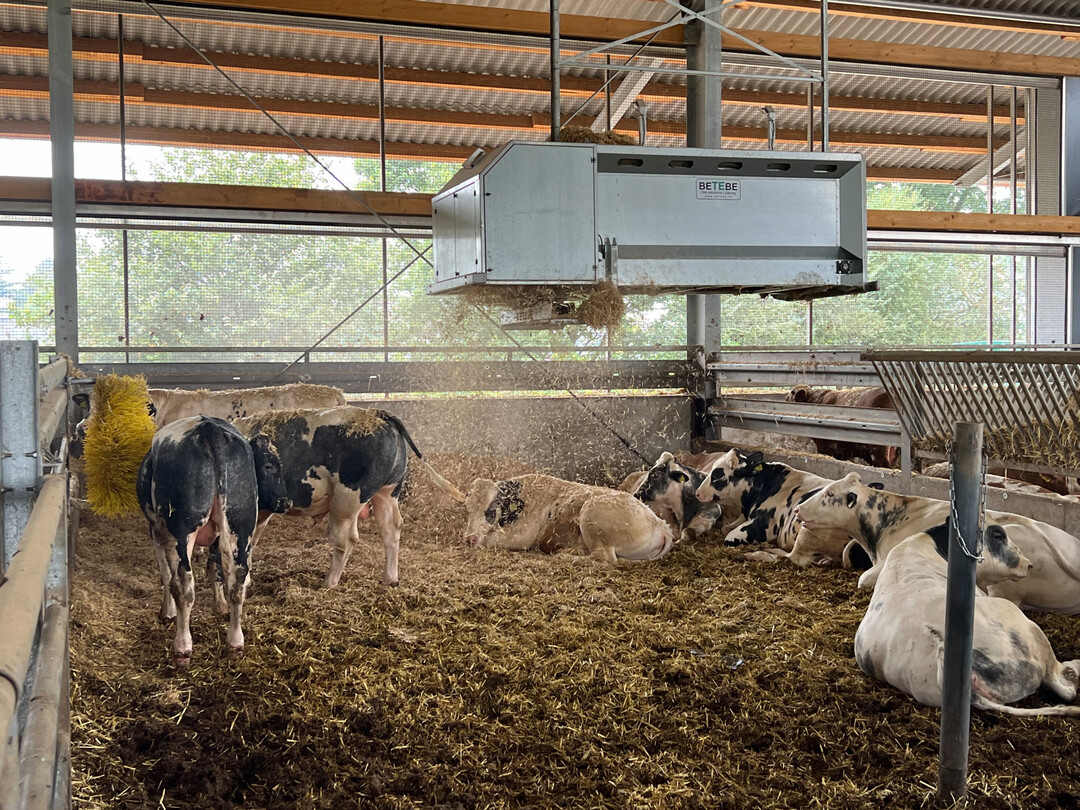 Der Betebe-Strohexpress ermglicht als erstes System ein automatisches Entnehmen der Strohbnder aus den Strohballen und minimiert die Fehleranflligkeit von Einstreusystemen fr Liegeboxen-, Tretmist- oder Tiefstreustallungen.