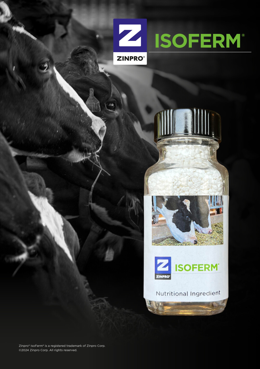 Zinpro IsoFerm ist eine Mischung flchtiger Fettsuren, die bei gezielter Zulage das Potenzial zur Verbesserung der mikrobiellen Proteinsynthese und Faserverdaulichkeit bei Khen haben. Dadurch werden die Pansenfunktion, -stoffwechsel und -effizienz gefrdert. 