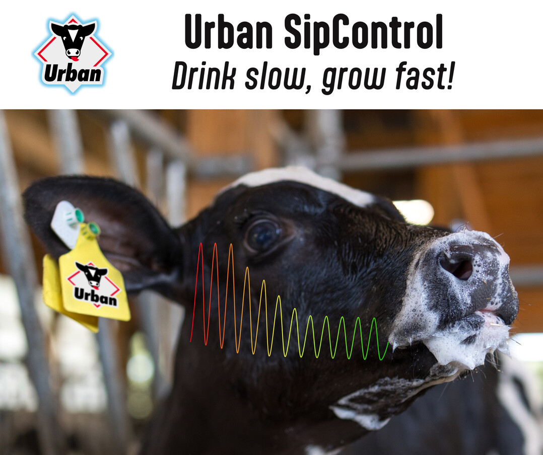 Urban SipControl ist ein neuartiges System zur Bestimmung des Tierwohls von Saugklbern an Trnkeautomaten. Das System erfasst hochauflsend die Saugstrke des Tieres sowie die einzelnen Schluckvorgnge whrend des Trnkevorgangs und kann tierindividuell den Trnkevorgang durch eine aktive Durchflussregelung anpassen. 