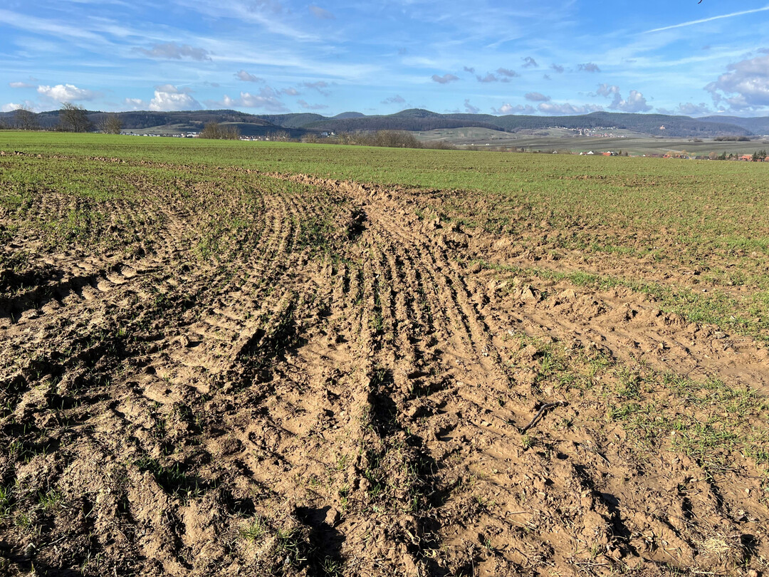 Fahrspuren im nassen Acker. Bodenschadverdichtungen sind eines der groen Probleme in der Landwirtschaft.