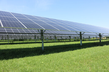 Agri-PV-Anlage auf Ackerland. Da whrend der Bauphase der Boden sehr gelitten hat, wurde zunchst Kleegras eingest. Im Herbst wird Getreide eingest.