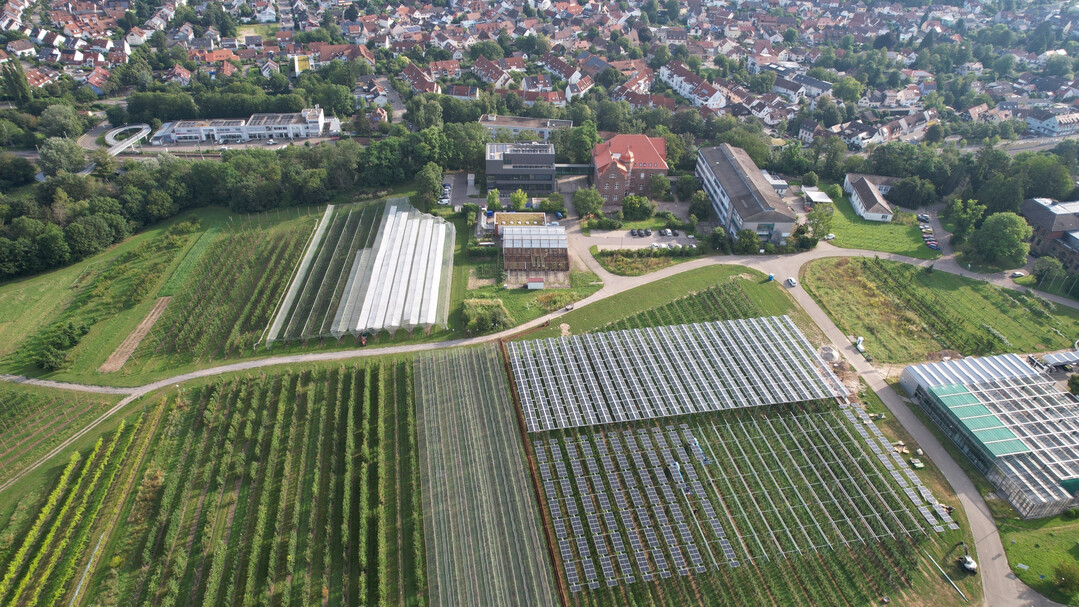 Auf dem Augustenberg bei Karlsruhe ist der Umbau eines ehemaligen Laborgebudes in ein Brogebude abgeschlossen. Auch eine Agri-PV-Forschungsanlage wurde fr das Landwirtschaftliche Technologiezentrum Augustenberg (LTZ) errichtet.