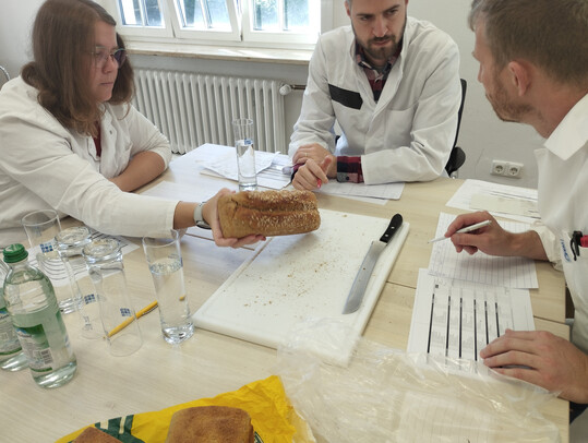Bioland-Brotprfung: Das diesjhrige Ergebnis spiegelt die groe Qualitt der Bioland-Backwaren wider: 50 der 62 geprften Brote beurteilte die Fachjury mit Gold und 12 mit Silber. Bioland-Bcker*innen verwenden in ihren Backwaren ausschlielich natrliche Zutaten. 