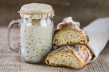 Sauerteig ist eine essenzielle Zutat fr Roggenbrote.