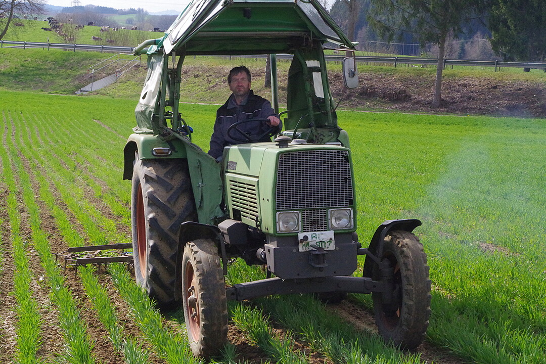 Dreifelder-Egge von Landwirt Schädler: Die klassische Egge ist auf dem Betrieb nicht mehr im Einsatz und wurde eigens für den Hack- und Striegeltag angehängt.