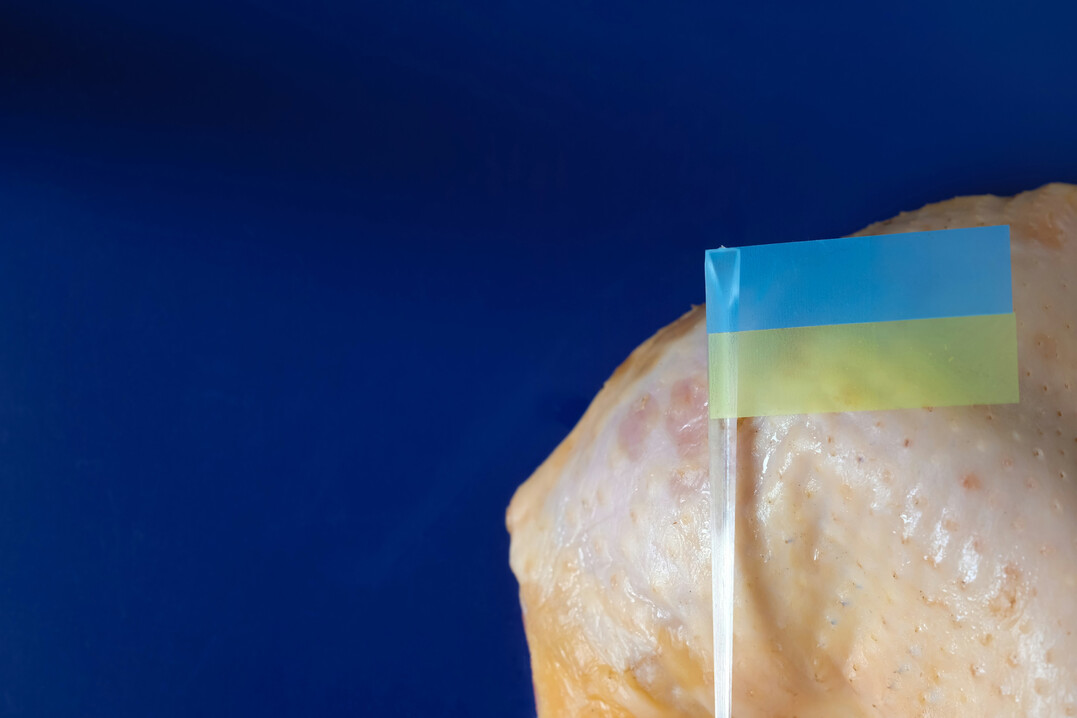 Der grte Geflgelfleischproduzent in Europa kommt aus der Ukraine.
