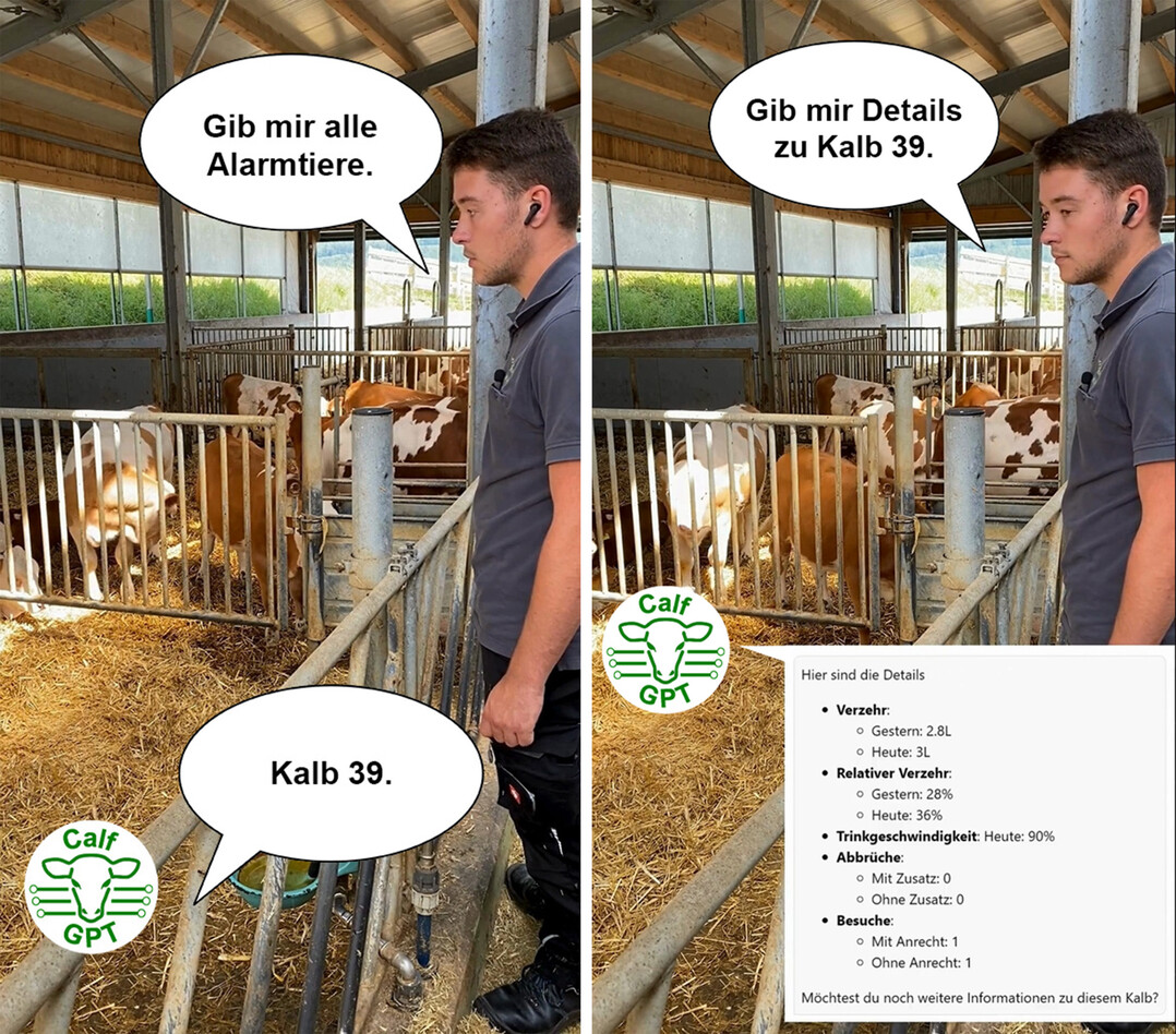 Mittels KI lassen sich Informationen per Spracheingabe abrufen.