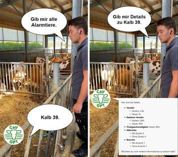 Mittels KI lassen sich Informationen per Spracheingabe abrufen.