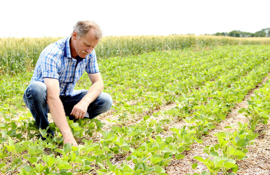 Ein Landwirt bzw. eine Landwirtin ernhrte in Deutschland laut der jngsten Erhebungen 147 Personen  und das allein mit deutschen Erzeugnissen.