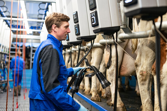 Von DeLaval gibt es nun eine Melkautomation fr konventionelle Melkstnde.