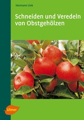 Schneiden und Veredeln von Obstgehlzen
