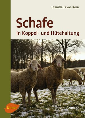 Schafe in Koppel- und Htehaltung