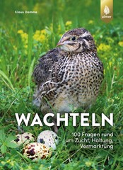 Wachteln
