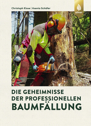 Die Geheimnisse der professionellen Baumfllung