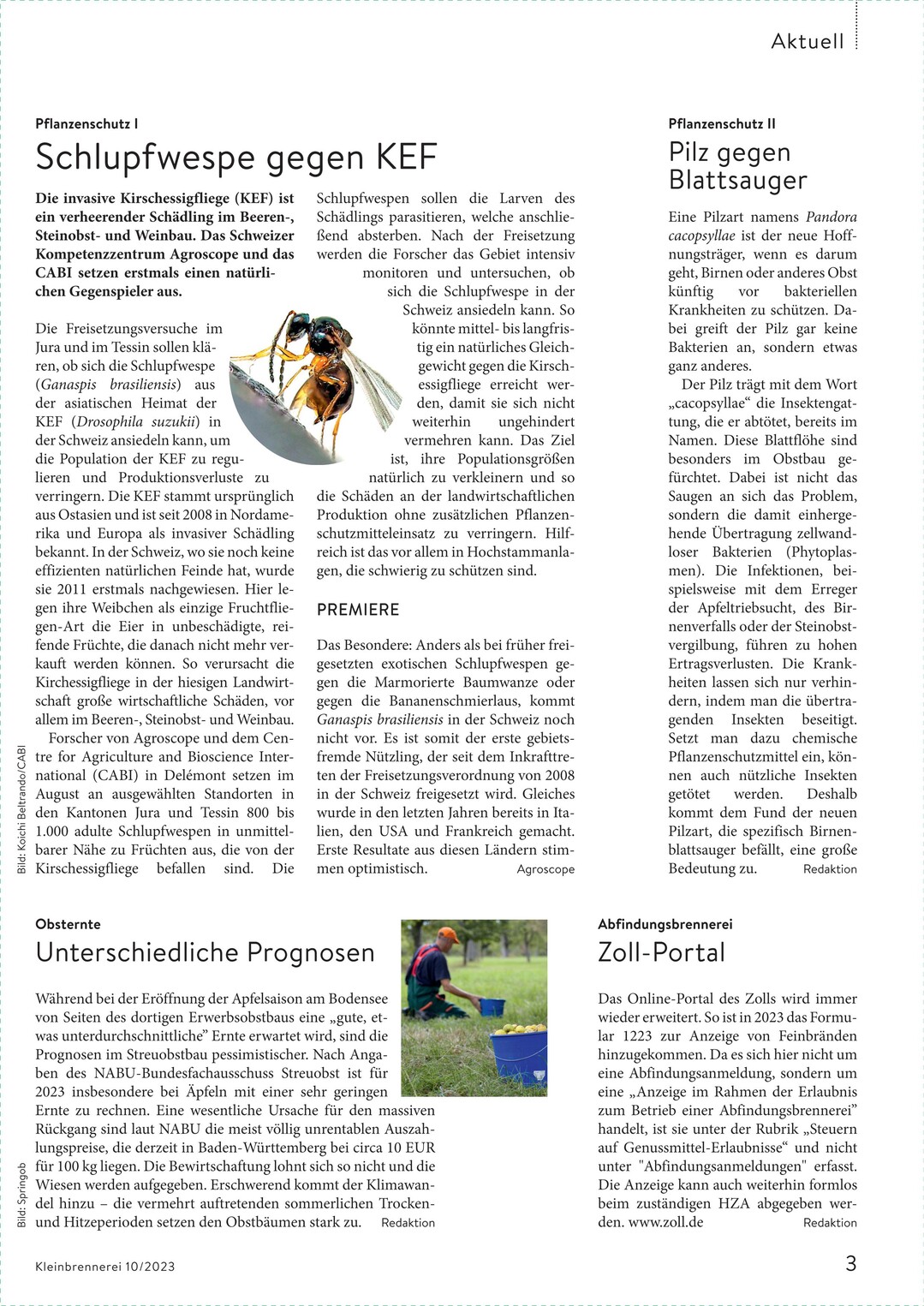Seite 1 von 1
