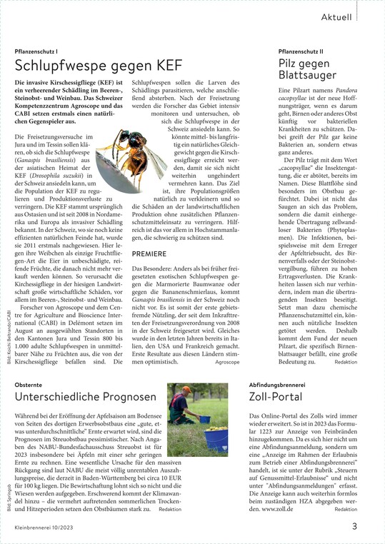 Seite 1 von 1