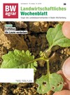 Cover BWagrar 30/2020