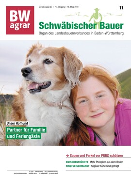 Cover BWagrar 11/2019