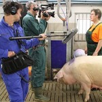 Tierwohl steht im Fokus der Öffentlichkeit.