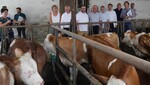 Tierwohl und Nährstoffbilanz werden ebenfalls diskutiert - hier im Bullenmaststall von Erhard Walz in Gondelsheim.