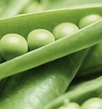 Erbsen als Eiweißpflanzen