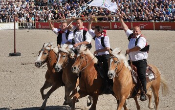 Gleich zu Beginn der Hengstparade in Marbach begeistern rasante Reiter mit ihren Haflingern aus Sdtirol das Publikum.